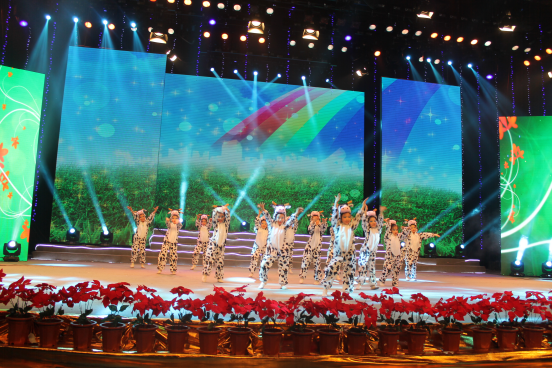 CCTV魅力中國(guó)行大型電視展演活動(dòng)走進(jìn)廣西，文化藝術(shù)交流全面啟動(dòng)